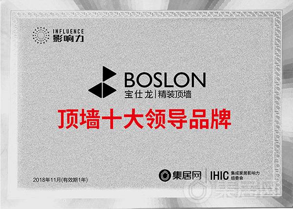 宝仕龙“2018年度顶墙十大领导品牌”奖牌