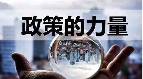 政策的力量